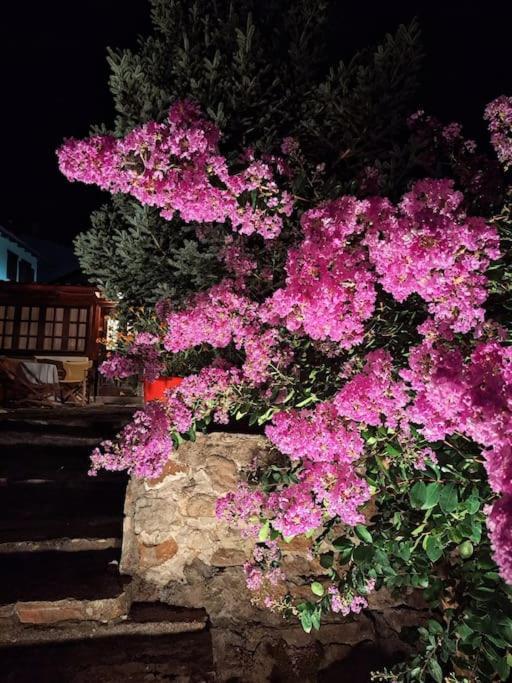 Panthea Cottage Stavroupoli Exterior foto