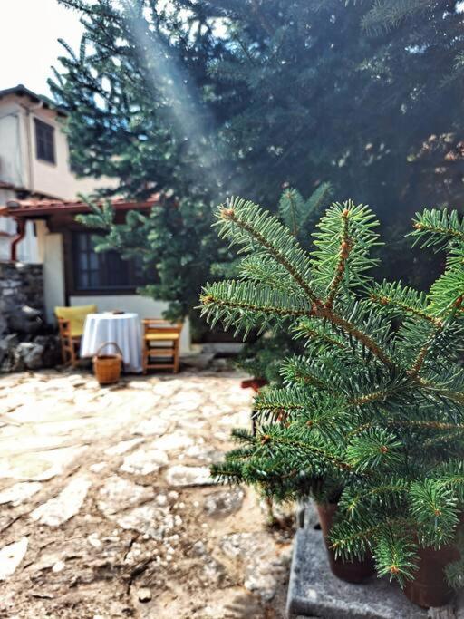 Panthea Cottage Stavroupoli Exterior foto